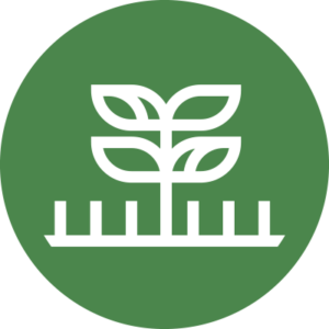 AGRI_COLOR_RELLENO-300x300