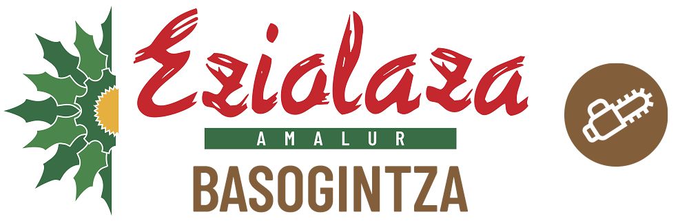 logo-principal-pagina-basogintza