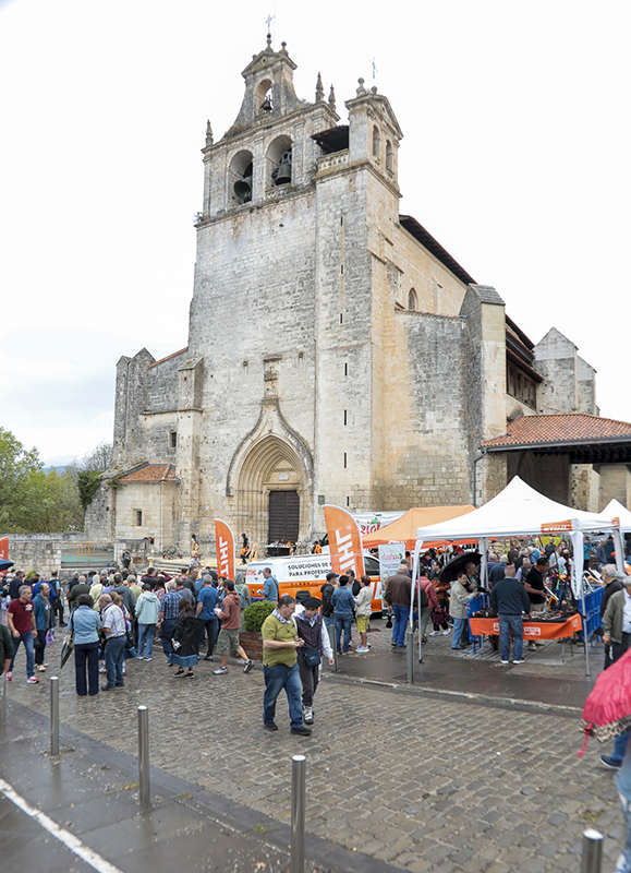 barruko-argazkia-agurain2-26-eziolaza portada-katalogoa-stihl-26